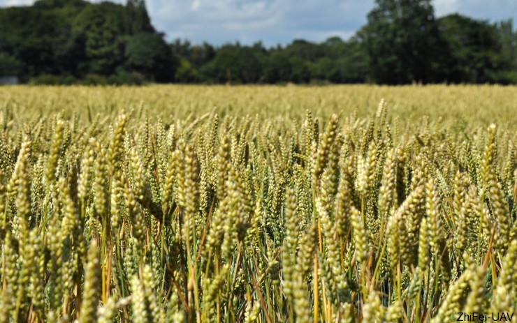 宇辰網(wǎng)_讓世界讀懂無人機_全球?qū)I(yè)無人機服務(wù)資訊平臺 河北智飛極農(nóng)無人機科技|一鳶科技|行業(yè)定制無人機