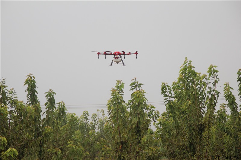 1534152389945190.jpg IMG_0457.JPG