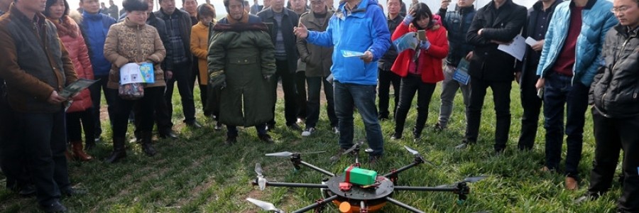 什么樣的航空植保企業才能主導市場？