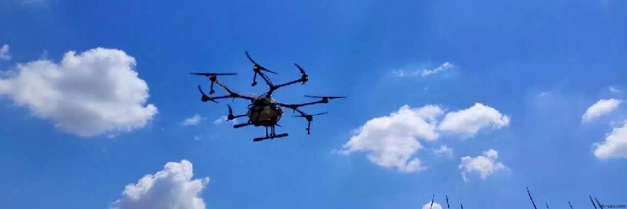 內蒙古玉米紅蜘蛛蟲害大爆發 農民從此相信無人機！