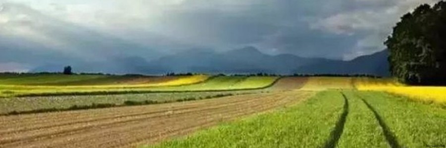 2017年農(nóng)業(yè)補(bǔ)貼申請(qǐng)已經(jīng)開始，這30個(gè)項(xiàng)目都可以拿到國(guó)家補(bǔ)貼